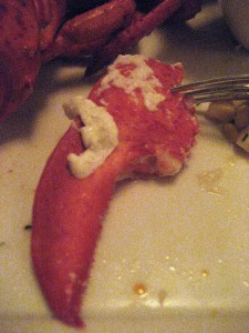 watergrilllobsterclaw