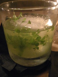 This photo was taken after I had been drinking it for a while; the micro arugula was originally sitting on top