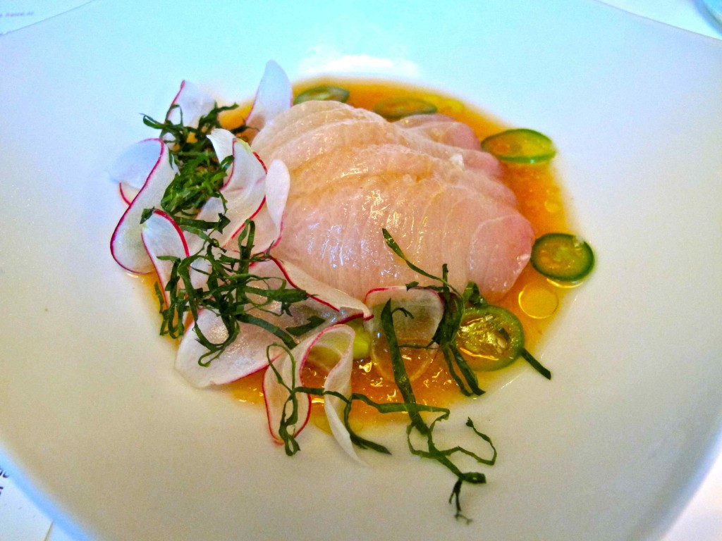 Hamachi at Fishing With Dynamite